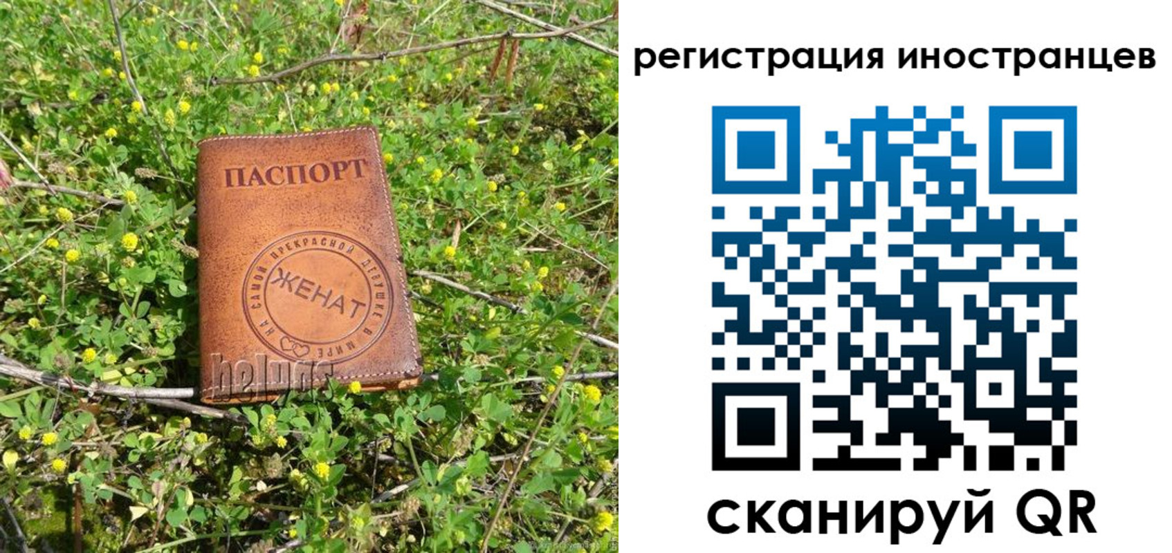 прописка гарантия в Ростове-на-Дону